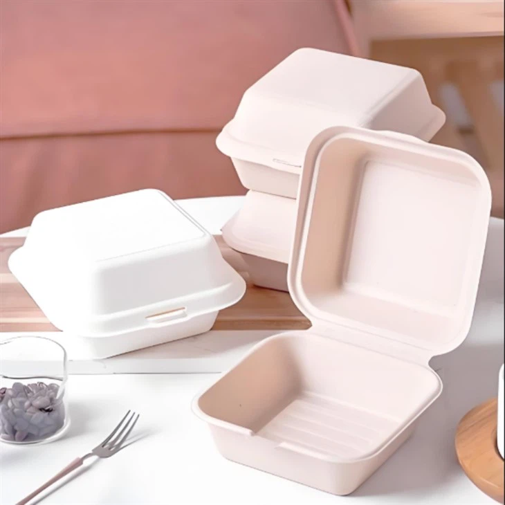 Sugarcane Clamshell Food Container best