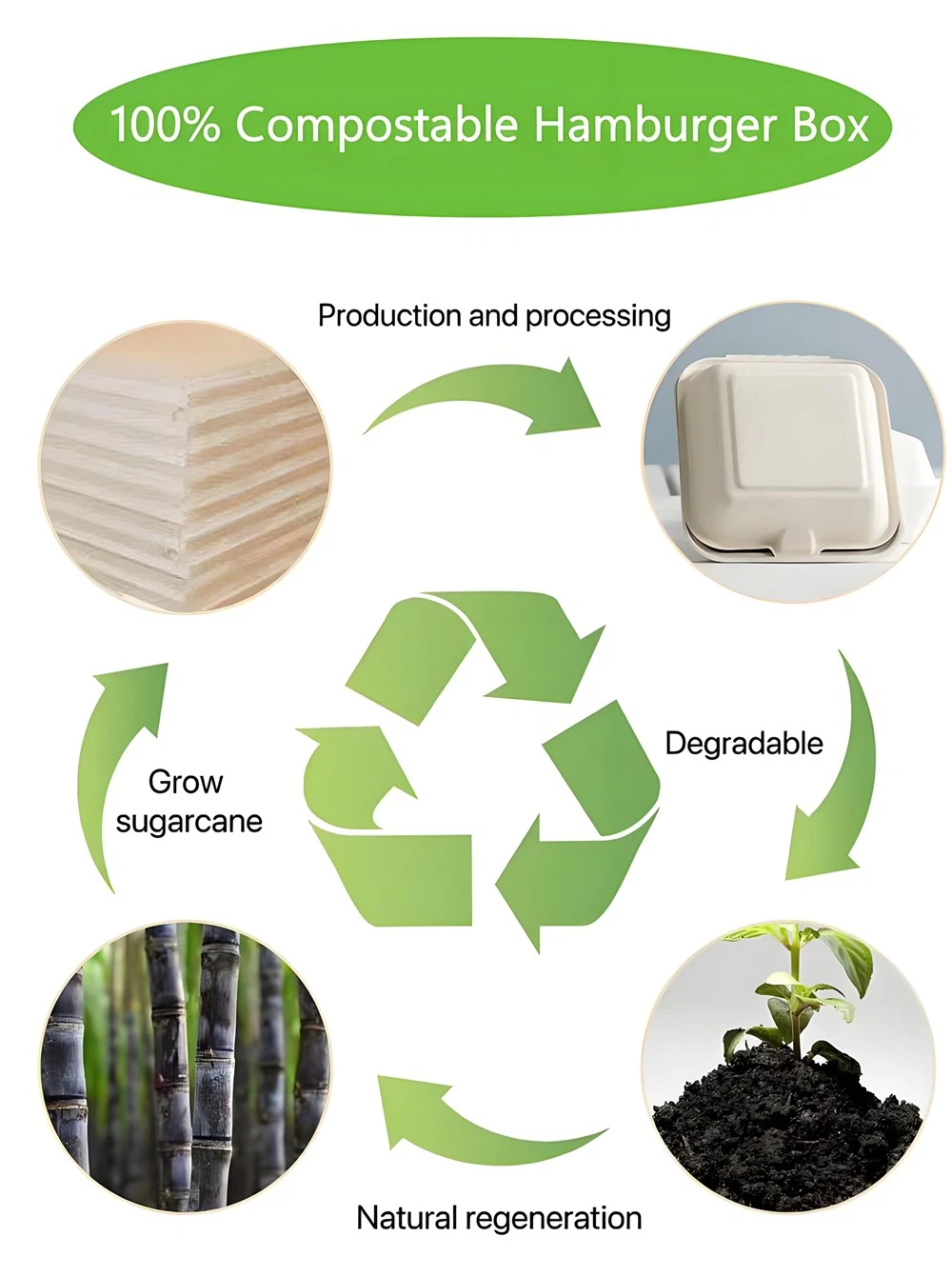 sugarcane bagasse clamshell boxes sugarcane bagasse clamshell boxes