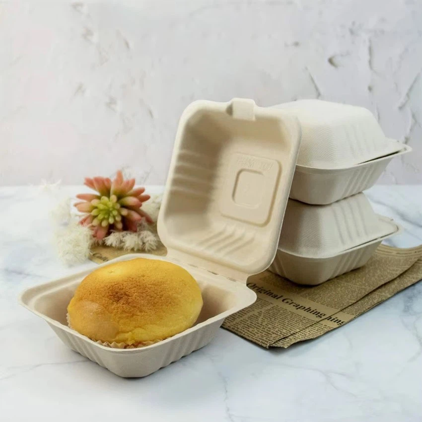 container clamshell large snack pack sugarcane container clamshell large snack pack sugarcane